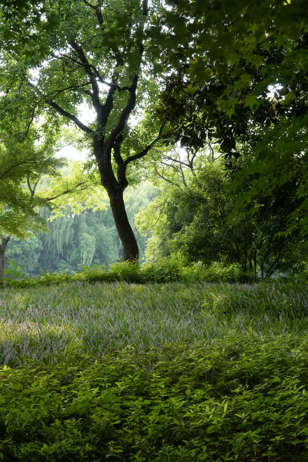 Landscape 16